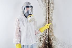 Best Mold Removal for HVAC Installations in Woodland Park, CO